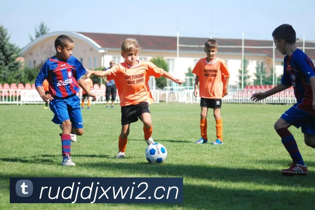 App Interface Preview