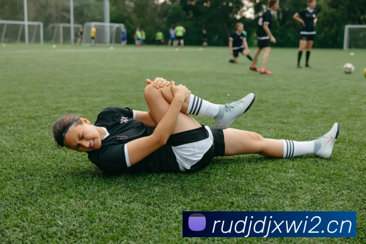 开云appAPP 封面图